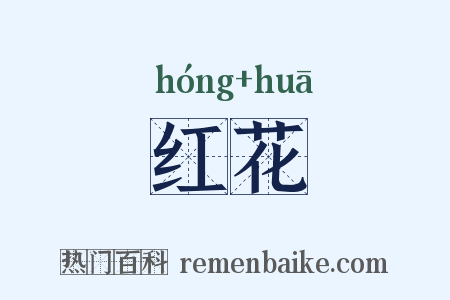 红花是什么意思的图片